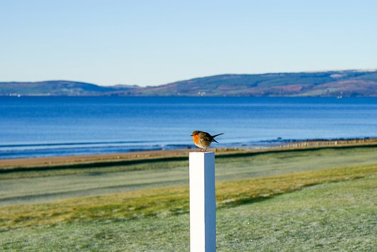 Shiskine Golf Club, Isle of Arran. 12th green.