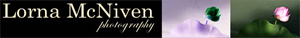 Lorna McNiven Photography