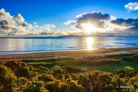 2026 Shiskine Golf Calendar, Blackwaterfoot, Isle of Arran